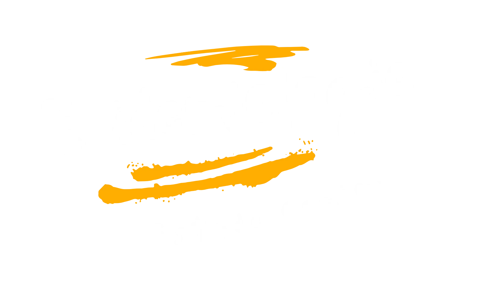 Estude Comigo Epidemiologia